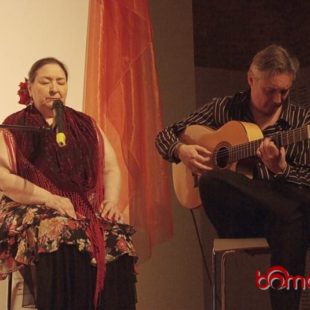 Les élèves du LTML organisent une soirée flamenco