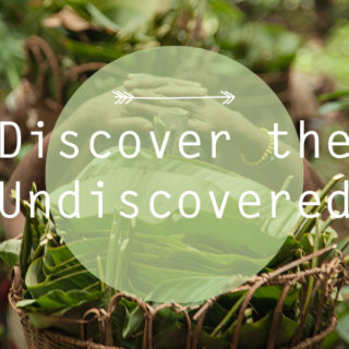 Discover the Undiscovered III