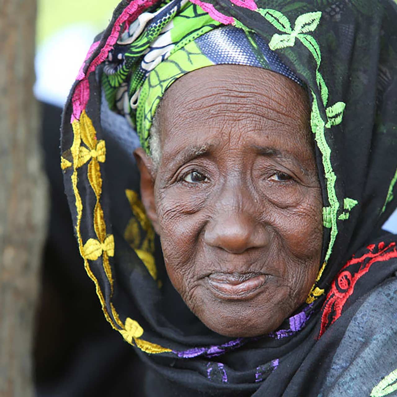 Programm Für Gemeindegesundheit (Mali) (gallery)