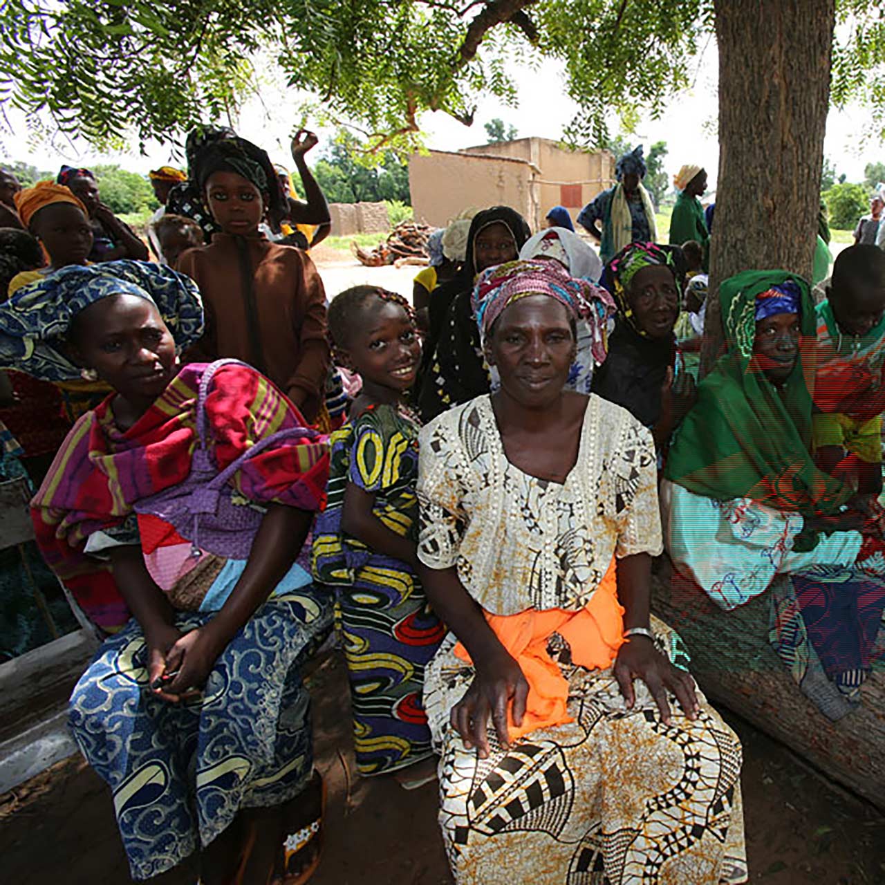 Programm Für Gemeindegesundheit (Mali) (gallery)