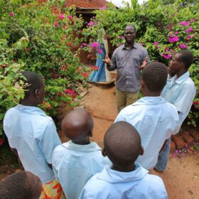 Les jeunes jardiniers de Dédougou