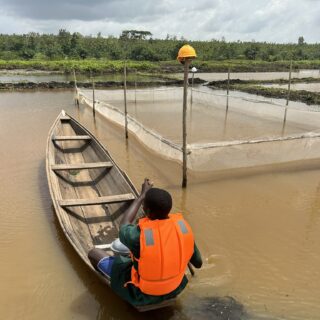 Après la pluie